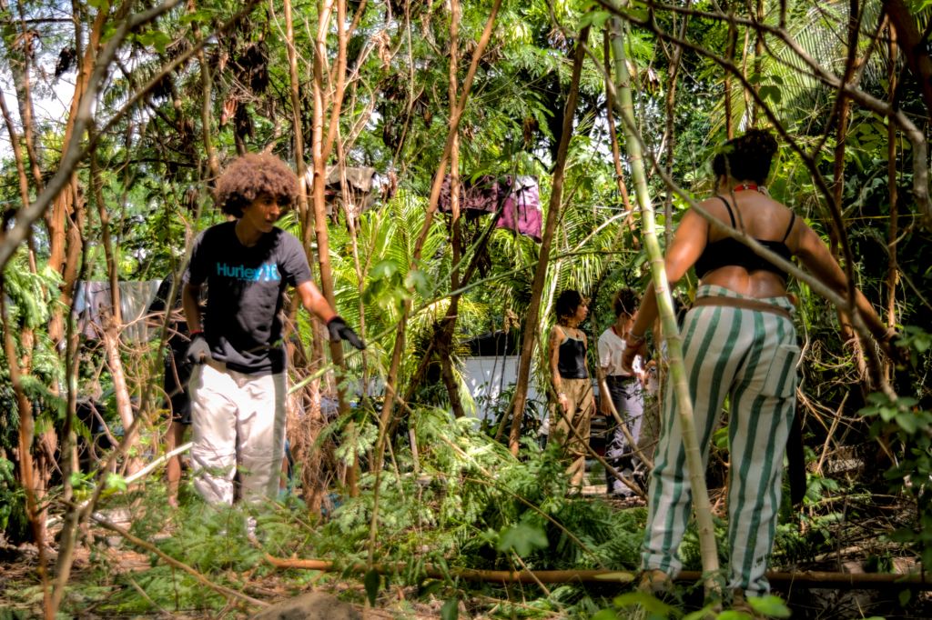 Mutirão na agrofloresta